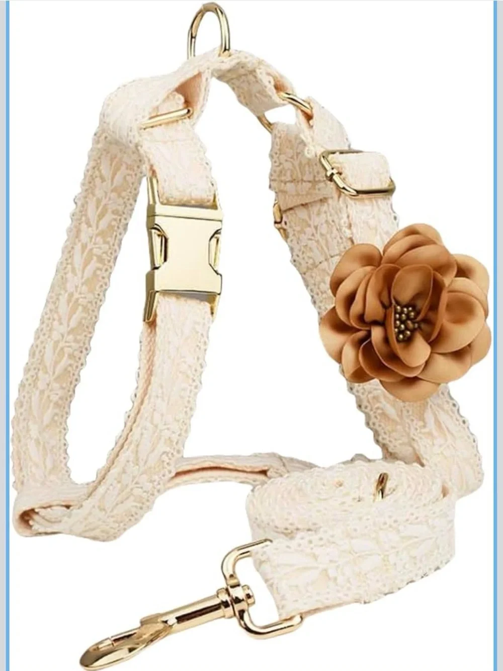 Lace Flower Accent Pet Harness and Leash Set - Cream